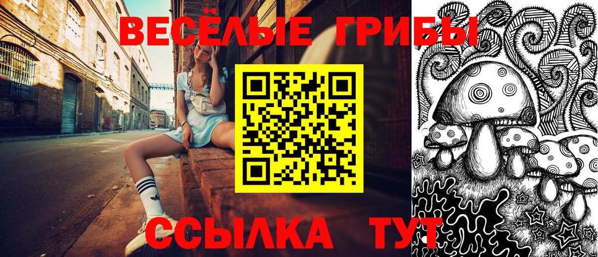Псилоцибиновые грибы GOLDEN TEACHER Стерлитамак